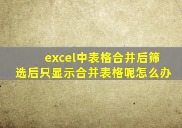 excel中表格合并后筛选后只显示合并表格呢怎么办
