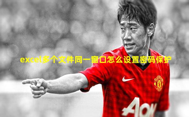 excel多个文件同一窗口怎么设置密码保护