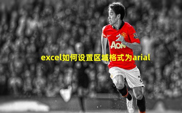 excel如何设置区域格式为arial