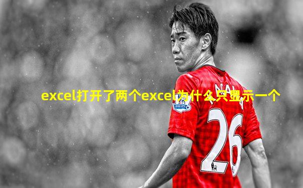 excel打开了两个excel为什么只显示一个