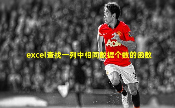 excel查找一列中相同数据个数的函数