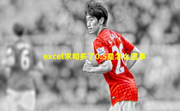 excel求和多了0.5是怎么回事
