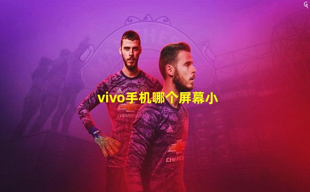 vivo手机哪个屏幕小