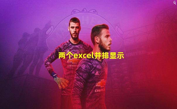 两个excel并排显示