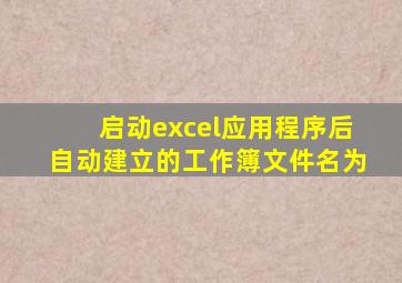 启动excel应用程序后自动建立的工作簿文件名为