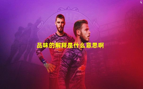品味的解释是什么意思啊