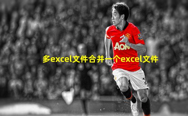 多excel文件合并一个excel文件