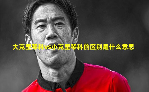 大克里琴科vs小克里琴科的区别是什么意思