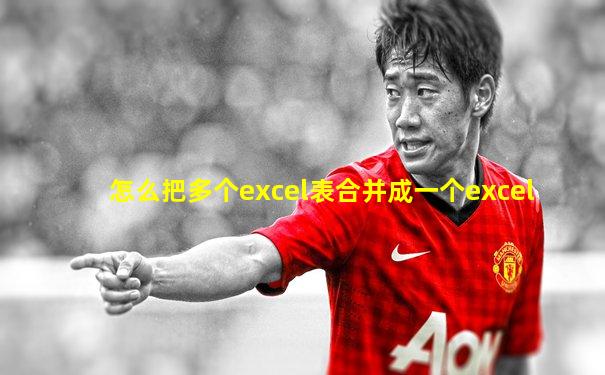 怎么把多个excel表合并成一个excel