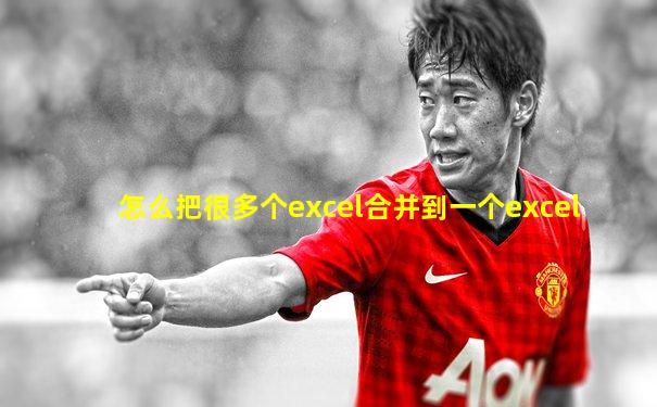 怎么把很多个excel合并到一个excel