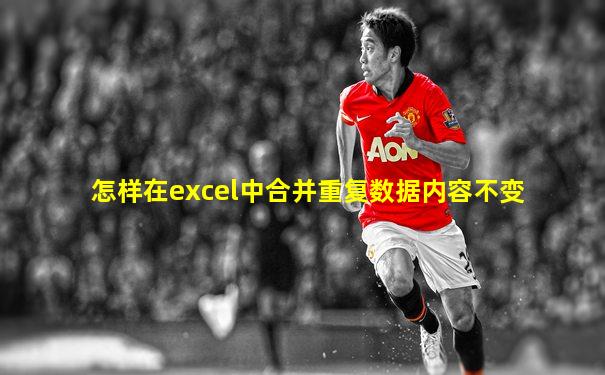 怎样在excel中合并重复数据内容不变