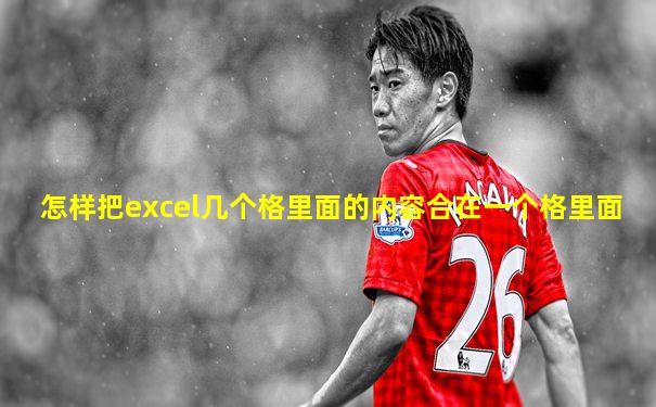 怎样把excel几个格里面的内容合在一个格里面
