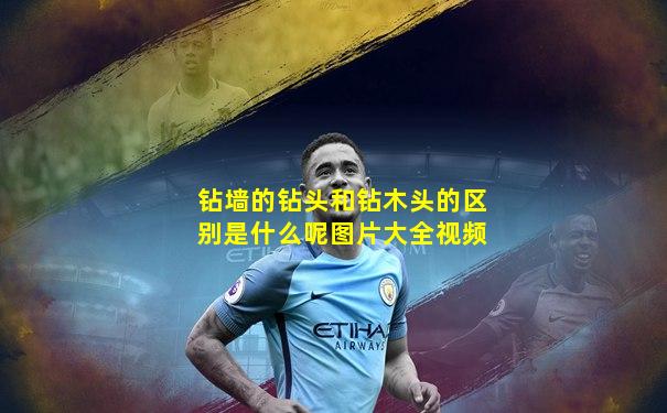 钻墙的钻头和钻木头的区别是什么呢图片大全视频