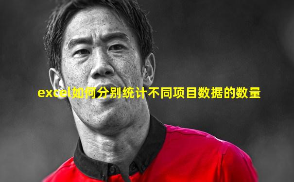 excel如何分别统计不同项目数据的数量