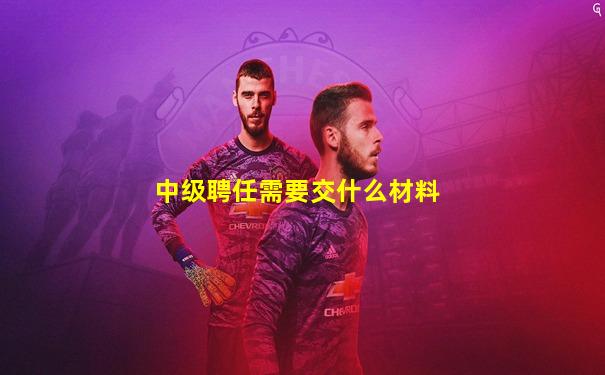 中级聘任需要交什么材料