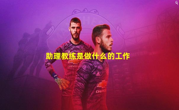助理教练是做什么的工作