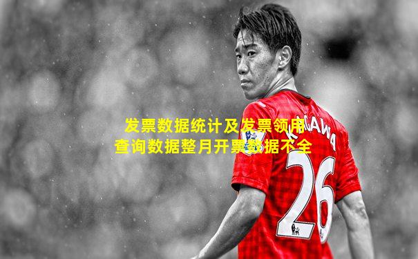 发票数据统计及发票领用查询数据整月开票数据不全