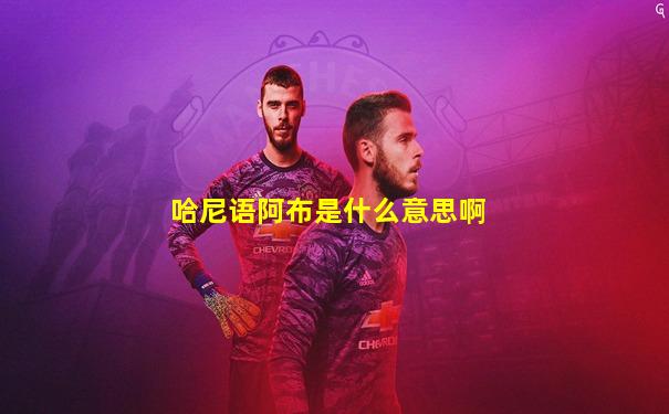 哈尼语阿布是什么意思啊