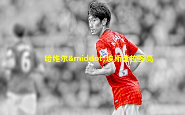 哈维尔·埃斯奎拉多高