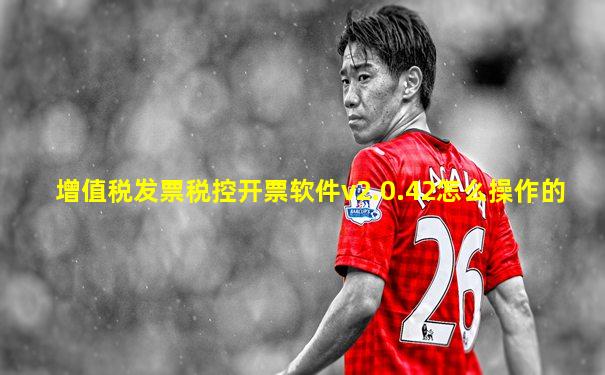 增值税发票税控开票软件v2.0.42怎么操作的
