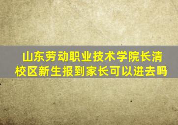 山东劳动职业技术学院长清校区新生报到家长可以进去吗