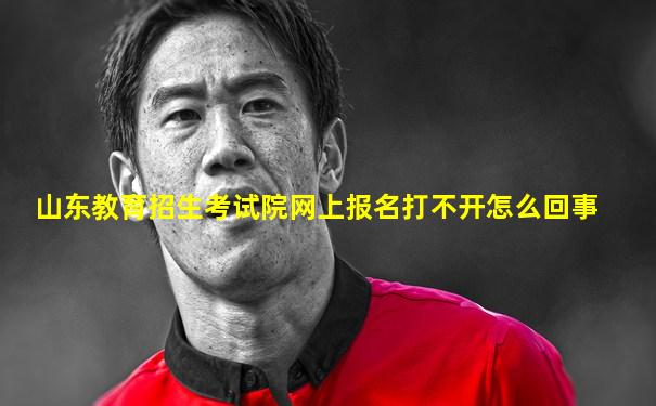 山东教育招生考试院网上报名打不开怎么回事