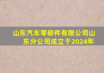 山东汽车零部件有限公司山东分公司成立于2024年
