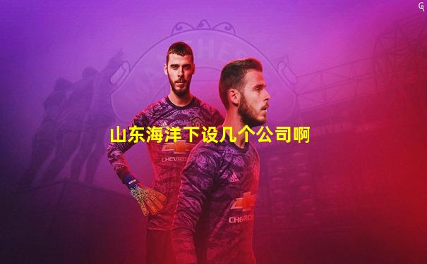 山东海洋下设几个公司啊
