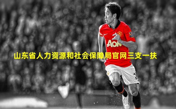 山东省人力资源和社会保障局官网三支一扶