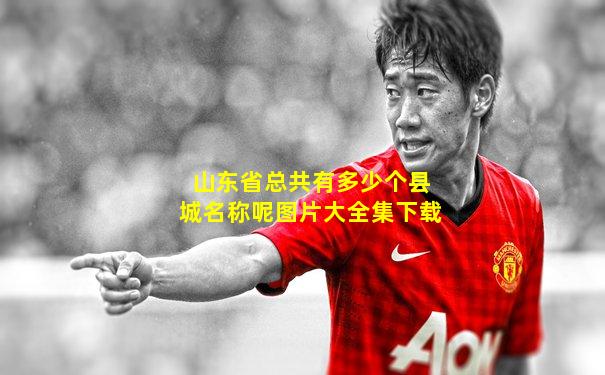 山东省总共有多少个县城名称呢图片大全集下载