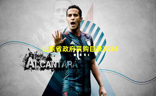 山东省政府采购目录2024