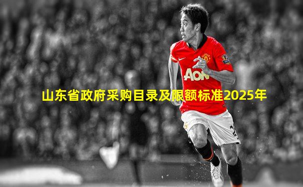 山东省政府采购目录及限额标准2025年