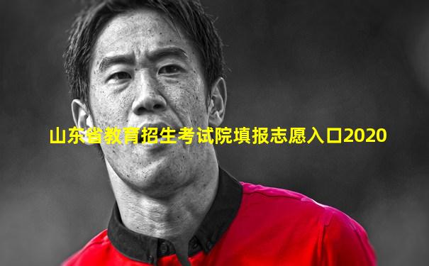 山东省教育招生考试院填报志愿入口2020