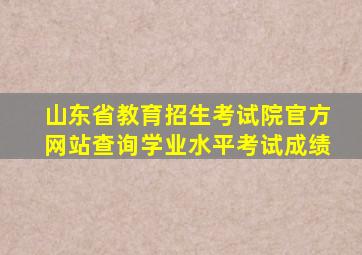 山东省教育招生考试院官方网站查询学业水平考试成绩