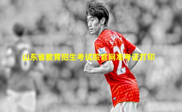 山东省教育招生考试院官网准考证打印