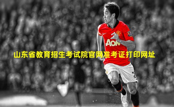 山东省教育招生考试院官网准考证打印网址