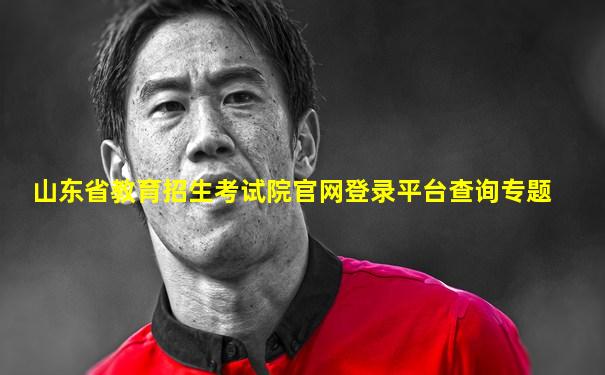 山东省教育招生考试院官网登录平台查询专题