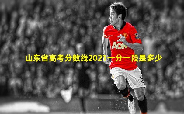 山东省高考分数线2021一分一段是多少