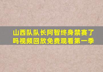 山西队队长阿智终身禁赛了吗视频回放免费观看第一季