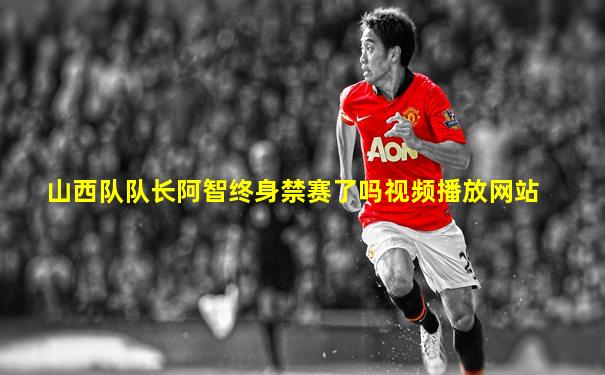 山西队队长阿智终身禁赛了吗视频播放网站