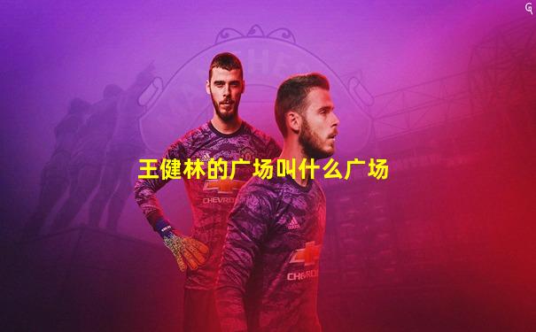 王健林的广场叫什么广场