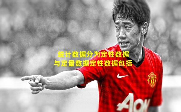 统计数据分为定性数据与定量数据定性数据包括