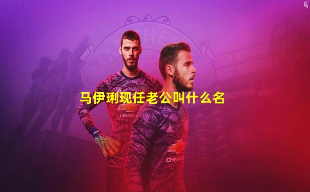 马伊琍现任老公叫什么名