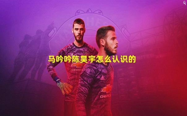 马吟吟陈昊宇怎么认识的