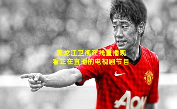 黑龙江卫视在线直播观看正在直播的电视剧节目